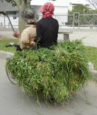 Motorcycle loaded with grass